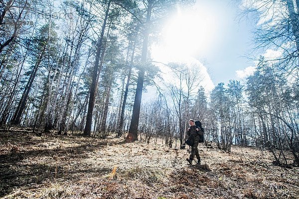 Junge Frau beim Wandern im Wald