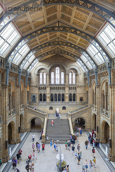 Große Eingangshalle  Natural History Museum oder Naturhistorisches Museum  Kensington  London  England  Großbritannien