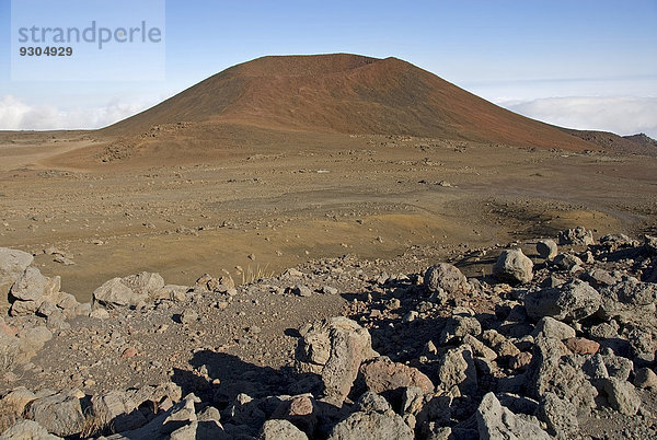 Der Berg Mauna Kea  Big Island  Hawaii  USA