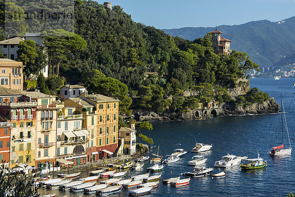 Fischereihafen Fischerhafen Gebäude bunt Dorf Italien Ligurien Portofino