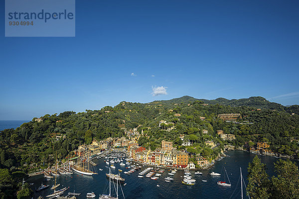 Fischereihafen Fischerhafen Gebäude bunt Dorf Italien Ligurien Portofino