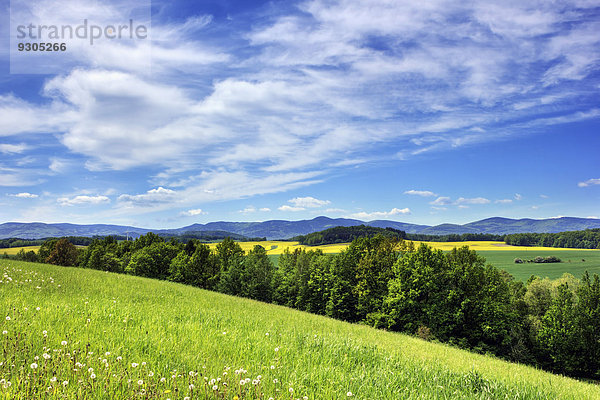 Reichensteiner Gebirge  von den Hrouda Hügeln  Velka Kras  Jesenik Bezirk  Region Olmütz  Tschechien