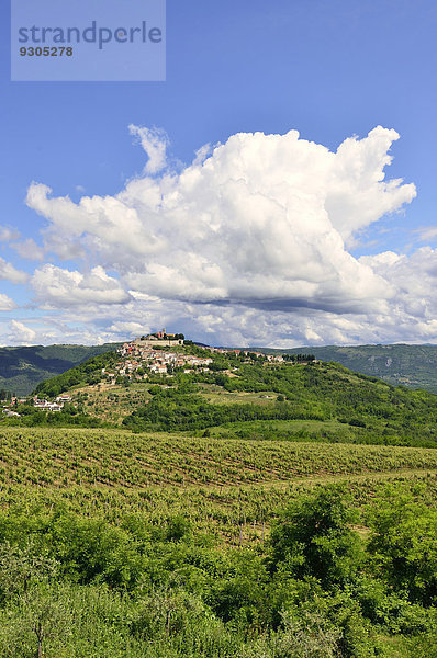 Ausblick über Weingärten auf die Stadt mit Wolkenstimmung  Motovun  Montona  Mirna-Tal  Istrien  Kroatien