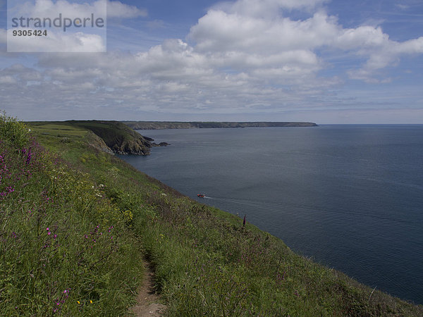 Küste am South-West-Coast-Path in Cornwall  Großbritannien