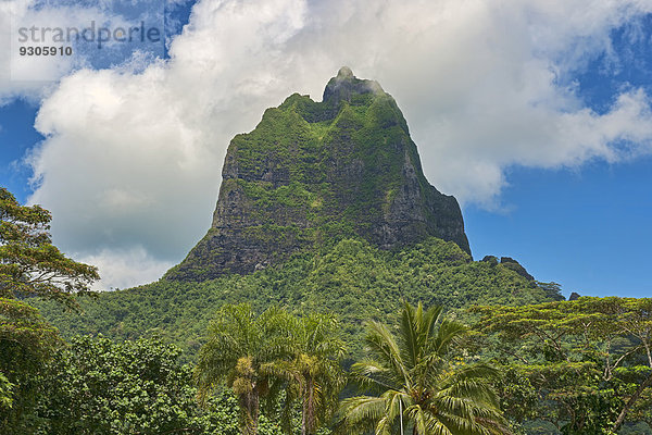 Vulkan Mont Tohiea  Mo'orea  Französisch-Polynesien