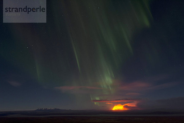 Nordlichter und nächtlicher Feuerschein der Holuhraun-Spalteneruption nördlich des Vulkans Bárðarbunga  Suður-Þingeyjarsýsla  Isländisches Hochland  Nordost-Island  Island