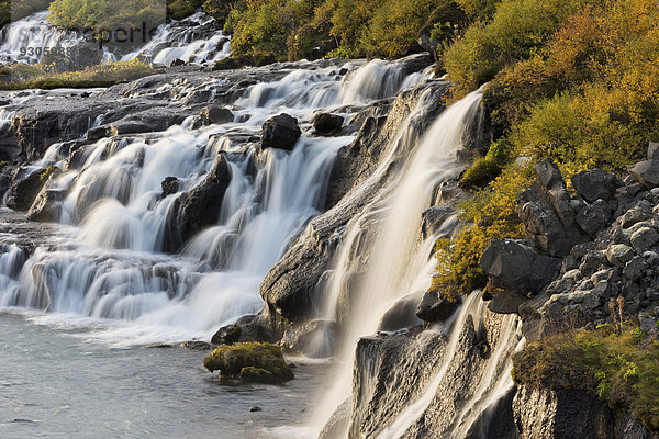 Hraunfossar  Wasserfälle des Flusses Hvita im Herbst  bei Húsafell und Reykholt  Island