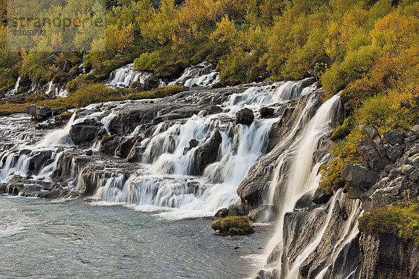Hraunfossar  Wasserfälle des Flusses Hvita im Herbst  bei Húsafell und Reykholt  Island
