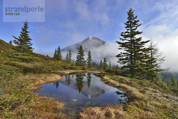 Gebirgslandschaft im Frühling  hinten der Kuhmesser  Kleiner Gamsstein  Tuxer Voralpen  Tirol  Österreich