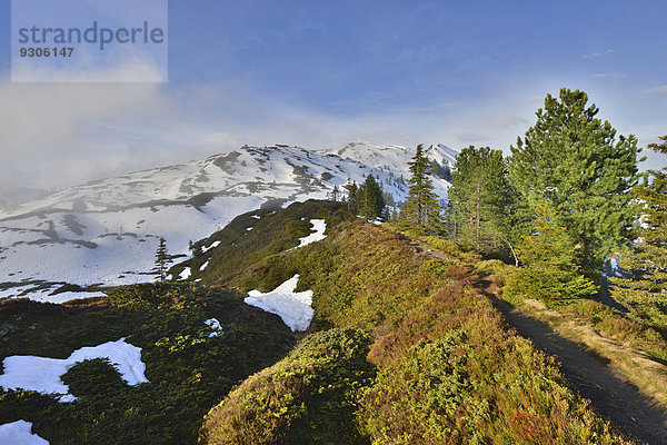 Gebirgslandschaft mit Schnee  hinten der Gilfert  Kleiner Gamsstein  Tuxer Voralpen  Tirol  Österreich