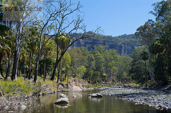 Fluss fließt durch den Carnarvon-Nationalpark  Queensland  Australien