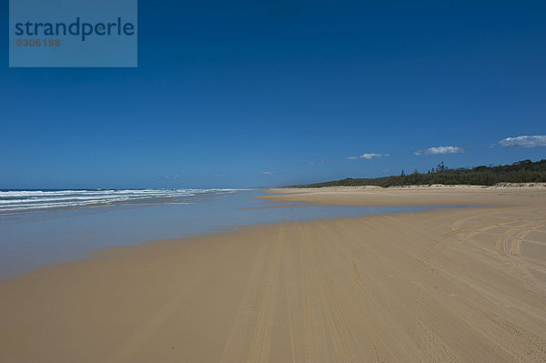 Strand 75 Mile Beach  Fraser Island  Queensland  Australien