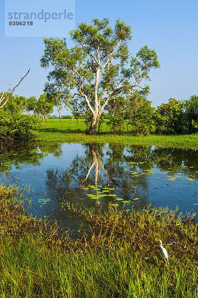 Kleiner See  Kakadu-Nationalpark  Northern Territory  Australien