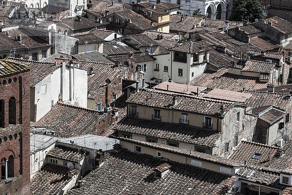 Dächer in der Altstadt  Carrara  Toskana  Italien  Europa
