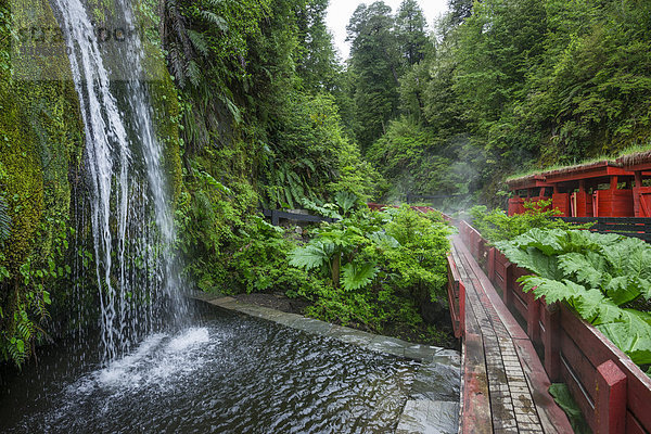 Kälte Wasser Wasserfall Chile