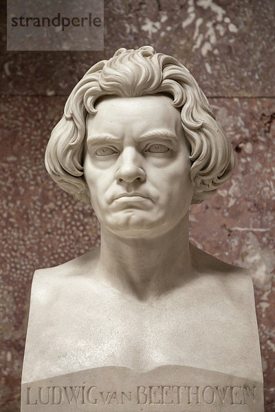 Marmorbüste Ludwig van Beethoven in der Gedenkstätte von Walhalla  bei Donaustauf  Bayern  Deutschland
