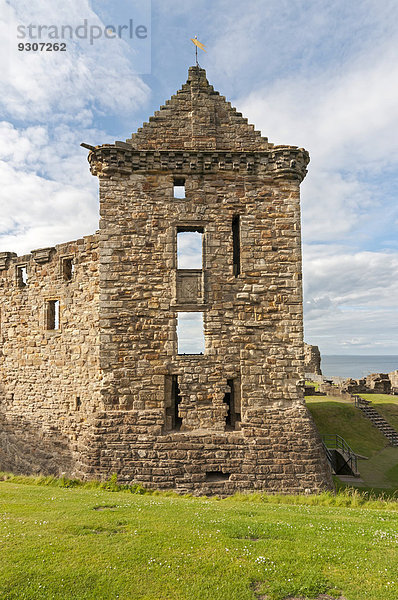 Die Ruine des St Andrew's Castle  St Andrews  Fife  Schottland  Großbritannien