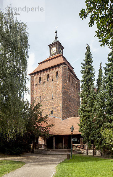 Steintor  Wehrturm der mittelalterlichen Stadtbefestigung  Heimatmuseum  Bernau  Brandenburg  Deutschland