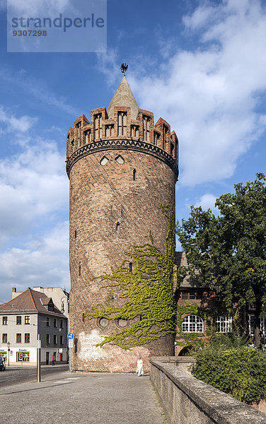 Steintorturm  Wehrturm der mittelalterlichen Stadtbefestigung  Brandenburg an der Havel  Brandenburg  Deutschland