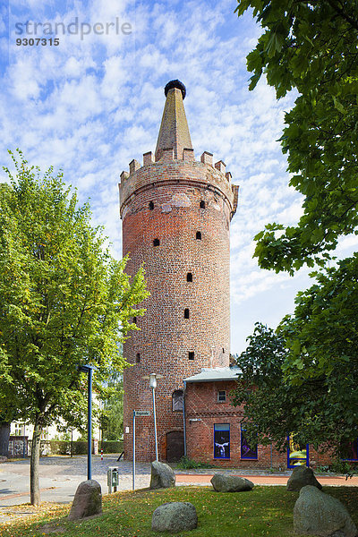 Pulverturm  Wachturm der mittelalterlichen Stadtbefestigung und Pulverarsenal  Pasewalk  Mecklenburg-Vorpommern  Deutschland