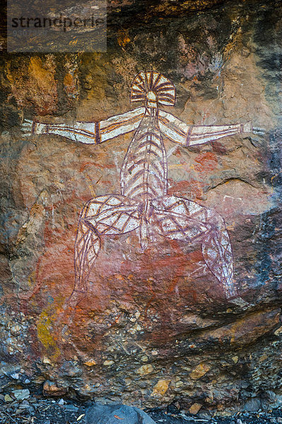 Wandmalereien der Aborigines  Kakadu-Nationalpark  Northern Territory  Australien