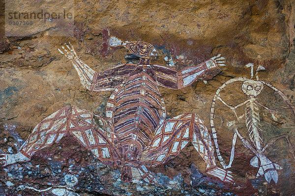 Wandmalereien der Aborigines  Kakadu-Nationalpark  Northern Territory  Australien