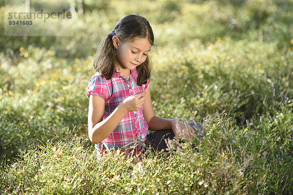 Mädchen isst Beeren in einem Kiefernwald