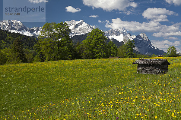 Pfeiffer Alm  Alpspitze  Wettersteingebirge  Bayern  Deutschland  Europa