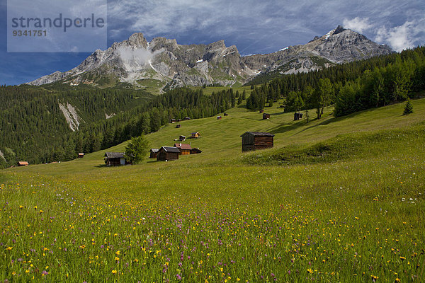 Dawinalm und Lechtaler Alpen  Tirol  Österreich  Europa