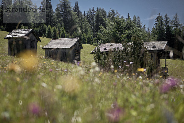 Almhütten auf der Dawinalm  Tirol  Österreich  Europa