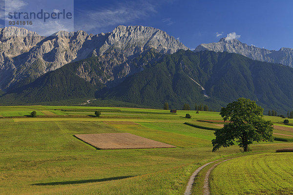 Europa Österreich Mieminger Plateau Tirol