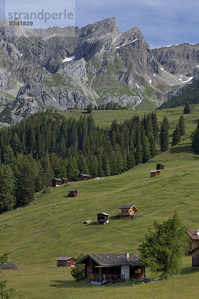 Almhütten  Dawinalm  Stanzertal  Tirol  Österreich  Europa