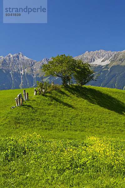 Felder und Karwendelgebirge  Tirol  Österreich  Europa