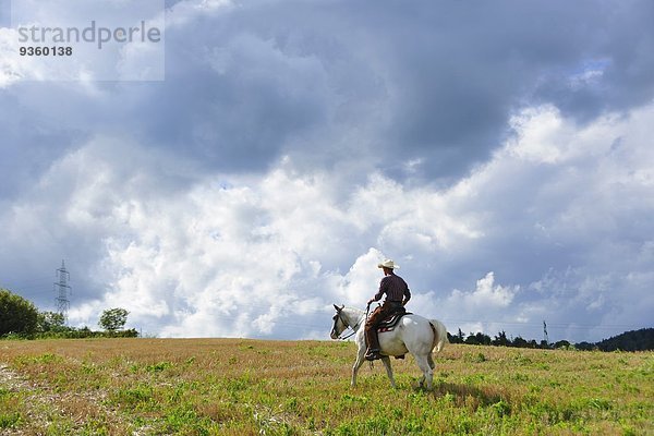 Junger Mann im Cowboyanzug reitet Pferd im Feld