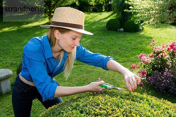 Mittlere erwachsene Frau schneidet perfekte Hecke im Garten