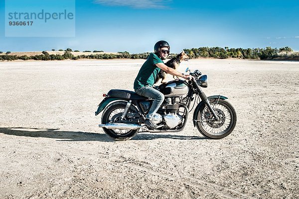 Mittlerer Erwachsener Mann und Hund fahren Motorrad auf trockener Ebene  Cagliari  Sardinien  Italien