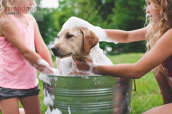 Zwei Schwestern baden Haustier Labrador Retriever Welpe