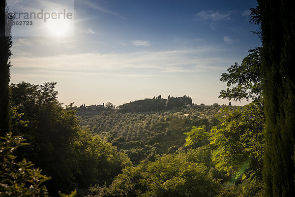 Italien  Toskana  San Casciano im Val di Pesa  Hügellandschaft