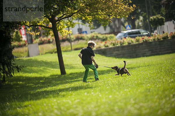 Junge spielt mit seinem Hund auf einer Wiese