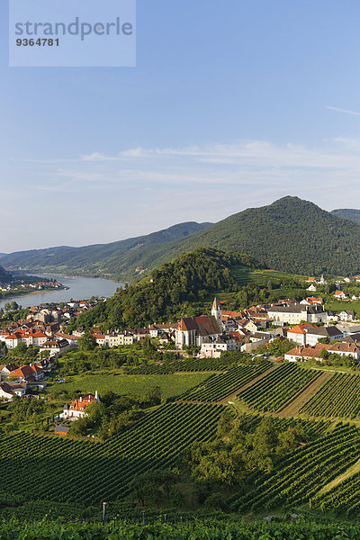 Österreich  Niederösterreich  Waldviertel  Wachau  Donau  Spitz an der Donau