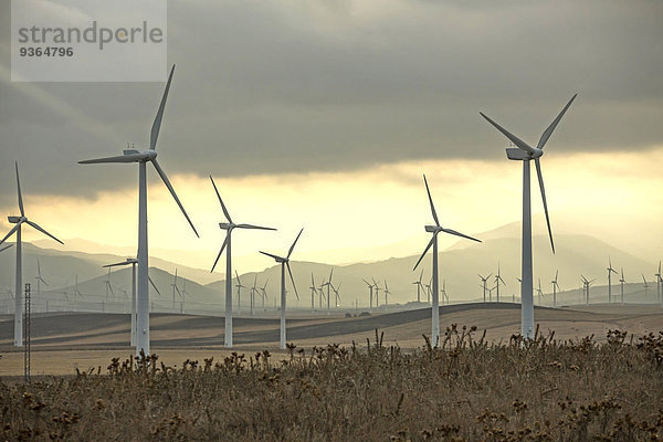Spanien  Andalusien  Tarifa  Windpark