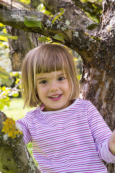 Porträt eines lächelnden Mädchens auf einem Apfelbaum sitzend