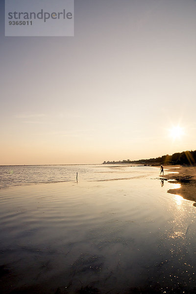 Italien  Gorizia  Grado  Blick zum Meer bei Abenddämmerung