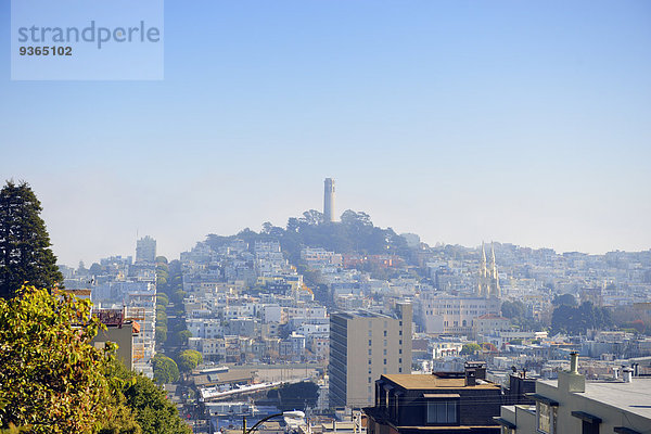 USA  Kalifornien  San Francisco  Blick von der Lombard Street auf den Telegraph Hill mit Coit Tower