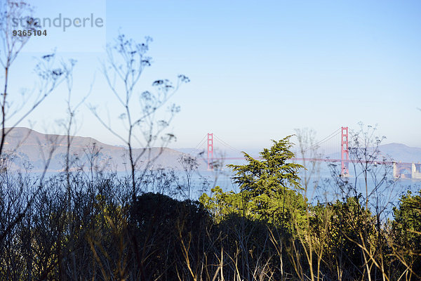USA  Kalifornien  San Francisco  Blick vom Lands End zur Golden Gate Bridge