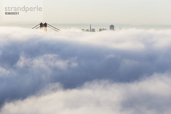 USA  Kalifornien  San Francisco  Skyline und Golden Gate Bridge im Nebel vom Hawk Hill aus gesehen.