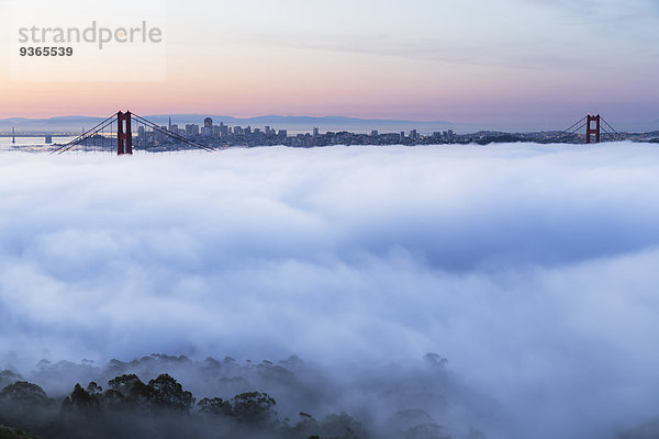 USA  Kalifornien  San Francisco  Skyline und Golden Gate Bridge im Nebel vom Hawk Hill aus gesehen.