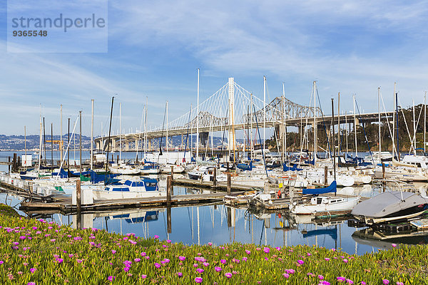 USA  Kalifornien  San Francisco  Marina auf der Schatzinsel