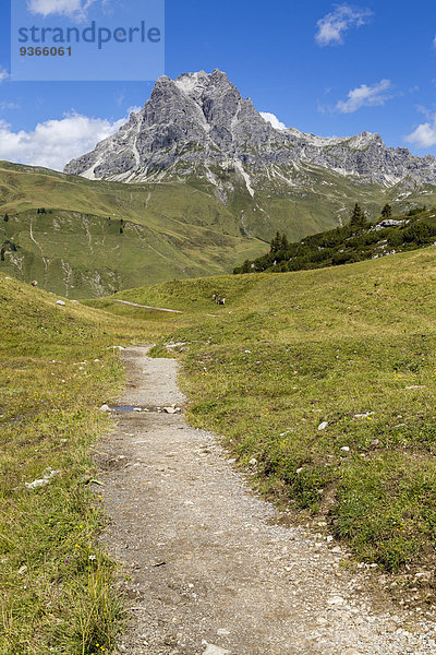 Österreich  Vorarlberg  Allgäuer Alpen  Trail und Widderstein