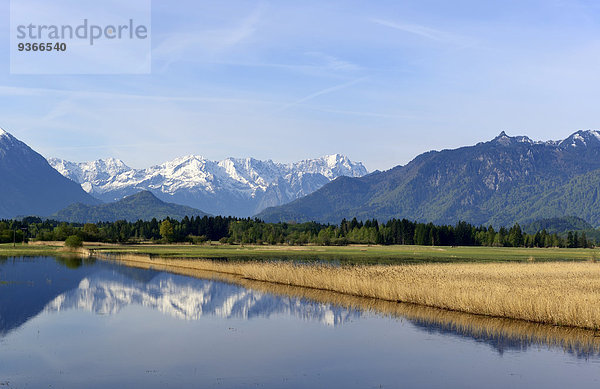 Deutschland  Oberbayern  Murnauer Moos und Estergebirge